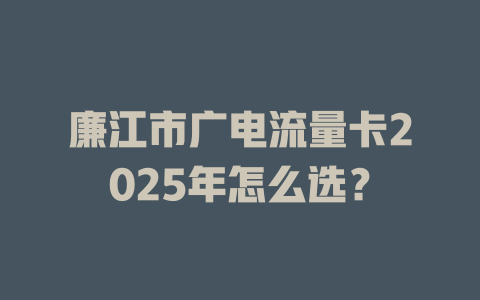 廉江市广电流量卡2025年怎么选？