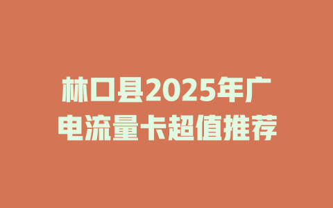 林口县2025年广电流量卡超值推荐