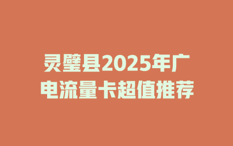 灵璧县2025年广电流量卡超值推荐