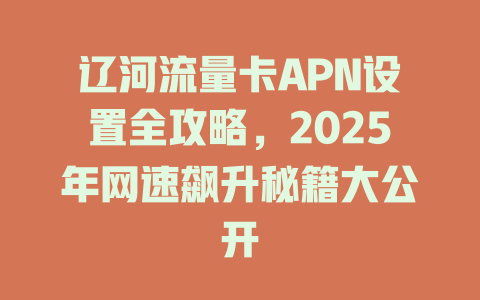 辽河流量卡APN设置全攻略，2025年网速飙升秘籍大公开