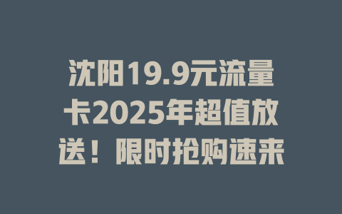 沈阳19.9元流量卡2025年超值放送！限时抢购速来
