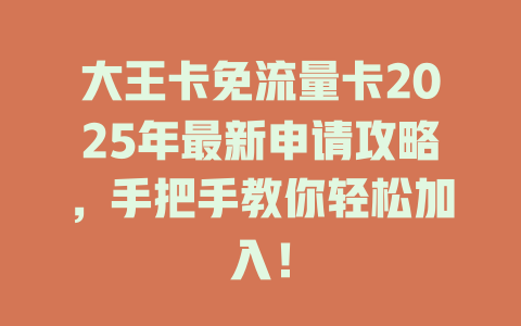 大王卡免流量卡2025年最新申请攻略，手把手教你轻松加入！
