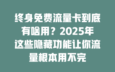 终身免费流量卡到底有啥用？2025年这些隐藏功能让你流量根本用不完
