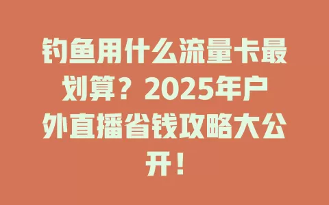 钓鱼用什么流量卡最划算？2025年户外直播省钱攻略大公开！