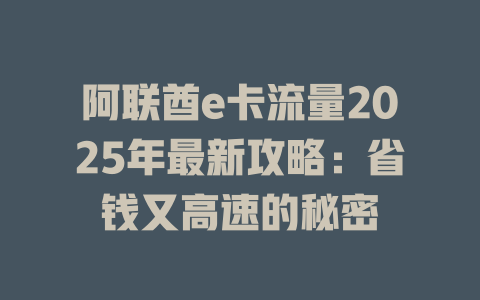 阿联酋e卡流量2025年最新攻略：省钱又高速的秘密