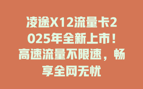 凌途X12流量卡2025年全新上市！高速流量不限速，畅享全网无忧