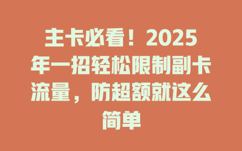 主卡必看！2025年一招轻松限制副卡流量，防超额就这么简单