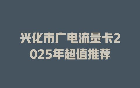 兴化市广电流量卡2025年超值推荐