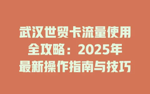 武汉世贸卡流量使用全攻略：2025年最新操作指南与技巧