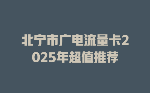 北宁市广电流量卡2025年超值推荐