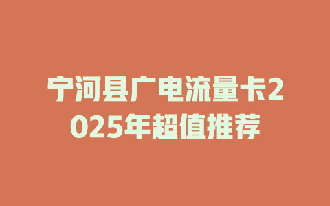 宁河县广电流量卡2025年超值推荐