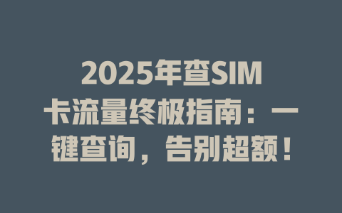 2025年查SIM卡流量终极指南：一键查询，告别超额！
