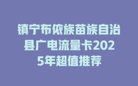 镇宁布依族苗族自治县广电流量卡2025年超值推荐