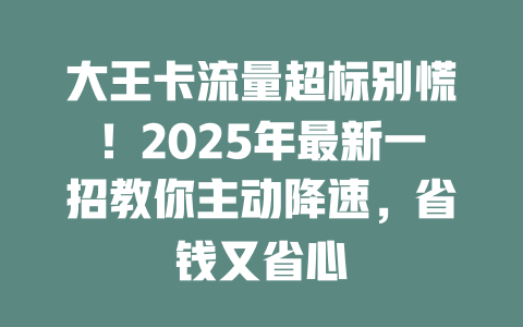 大王卡流量超标别慌！2025年最新一招教你主动降速，省钱又省心