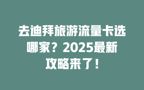 去迪拜旅游流量卡选哪家？2025最新攻略来了！