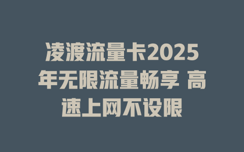 凌渡流量卡2025年无限流量畅享 高速上网不设限