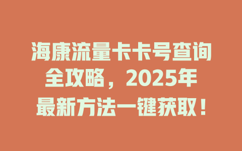 海康流量卡卡号查询全攻略,2025年最新方法一键获取!