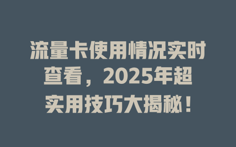 流量卡使用情况实时查看，2025年超实用技巧大揭秘！