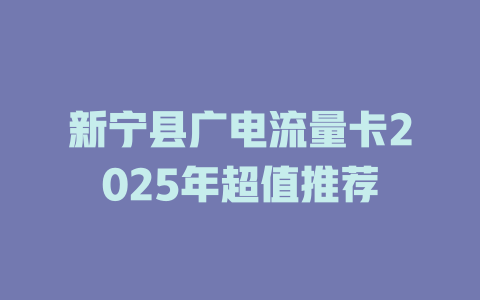 新宁县广电流量卡2025年超值推荐
