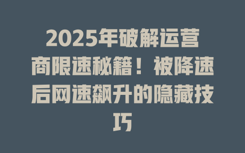2025年破解运营商限速秘籍!被降速后网速飙升的隐藏技巧