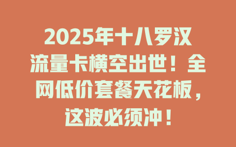 2025年十八罗汉流量卡横空出世！全网低价套餐天花板，这波必须冲！