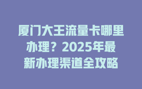 厦门大王流量卡哪里办理？2025年最新办理渠道全攻略