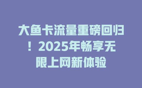 大鱼卡流量重磅回归！2025年畅享无限上网新体验