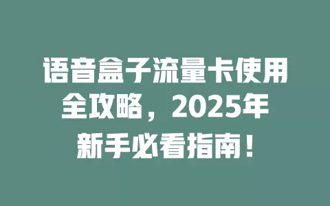 语音盒子流量卡使用全攻略，2025年新手必看指南！