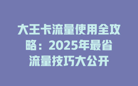 大王卡流量使用全攻略：2025年最省流量技巧大公开