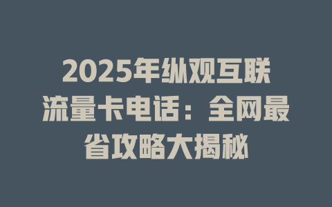 2025年纵观互联流量卡电话：全网最省攻略大揭秘