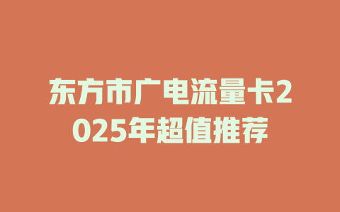 东方市广电流量卡2025年超值推荐