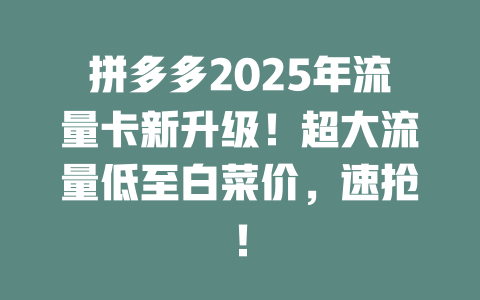 拼多多2025年流量卡新升级！超大流量低至白菜价，速抢！