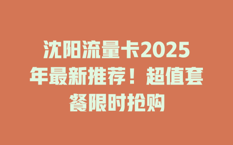 沈阳流量卡2025年最新推荐！超值套餐限时抢购