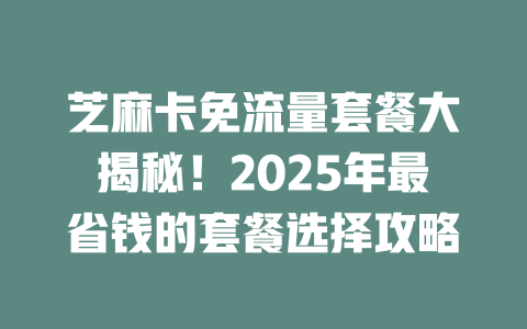 芝麻卡免流量套餐大揭秘！2025年最省钱的套餐选择攻略