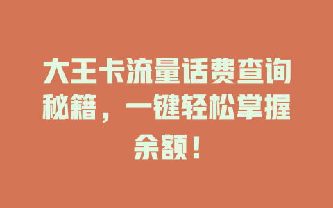 大王卡流量话费查询秘籍，一键轻松掌握余额！