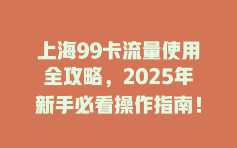 上海99卡流量使用全攻略，2025年新手必看操作指南！