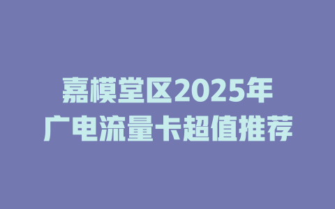 嘉模堂区2025年广电流量卡超值推荐
