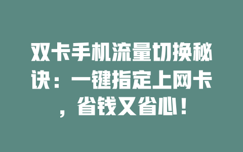 双卡手机流量切换秘诀：一键指定上网卡，省钱又省心！