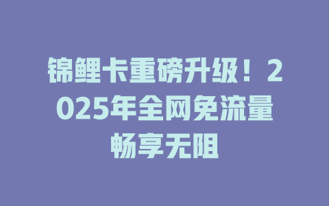 锦鲤卡重磅升级！2025年全网免流量畅享无阻