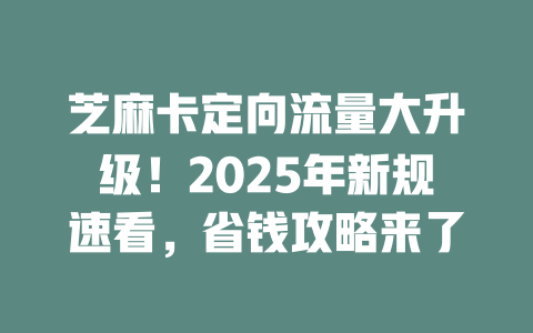 芝麻卡定向流量大升级！2025年新规速看，省钱攻略来了