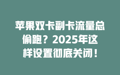 苹果双卡副卡流量总偷跑？2025年这样设置彻底关闭！