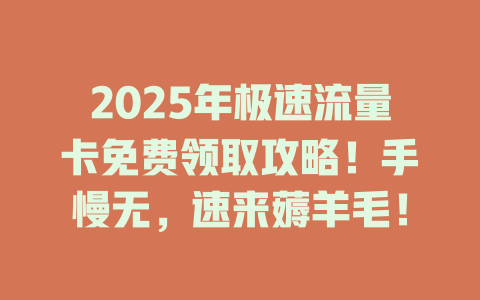 2025年极速流量卡免费领取攻略！手慢无，速来薅羊毛！