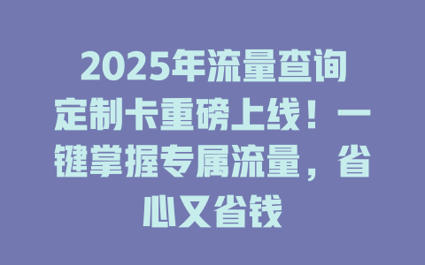 2025年流量查询定制卡重磅上线！一键掌握专属流量，省心又省钱