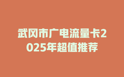 武冈市广电流量卡2025年超值推荐