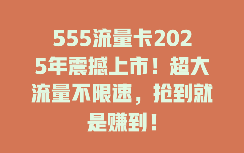555流量卡2025年震撼上市！超大流量不限速，抢到就是赚到！