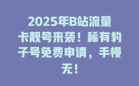 2025年B站流量卡靓号来袭！稀有豹子号免费申请，手慢无！