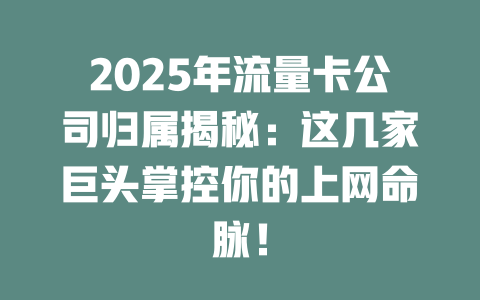 2025年流量卡公司归属揭秘：这几家巨头掌控你的上网命脉！