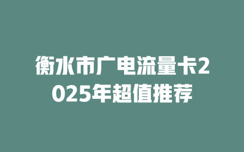 衡水市广电流量卡2025年超值推荐