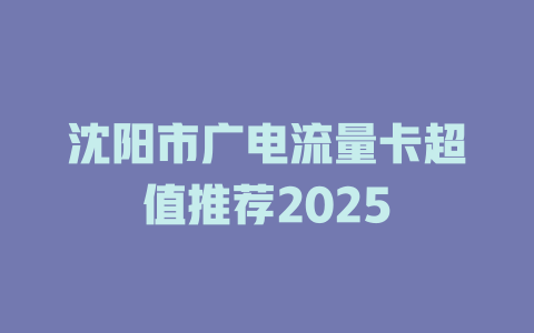 沈阳市广电流量卡超值推荐2025