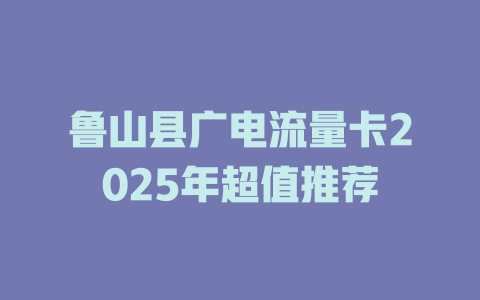 鲁山县广电流量卡2025年超值推荐